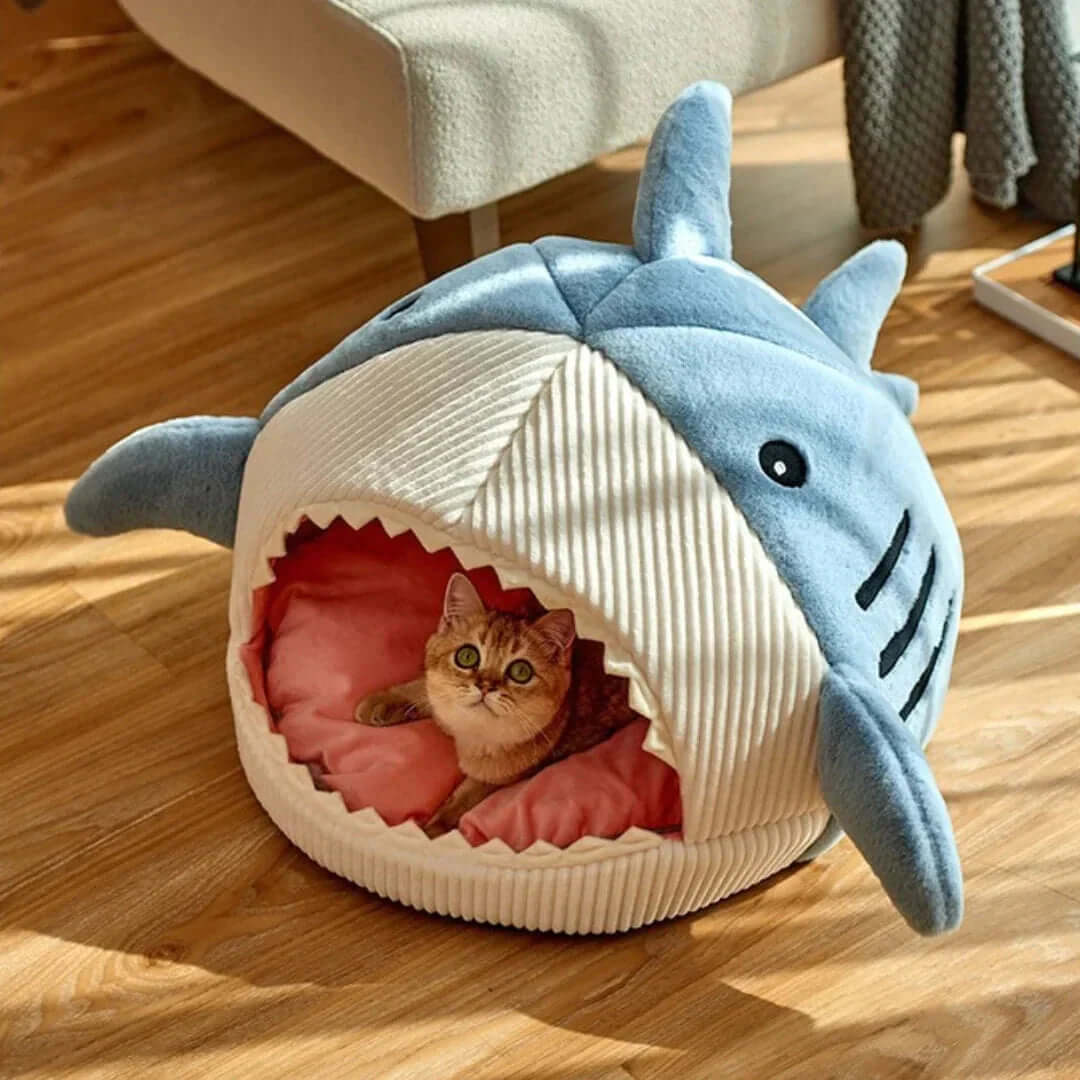 Luxury Plush Shark Pet Bed featuring a cat curled up inside the cozy shark design with a soft plush exterior.