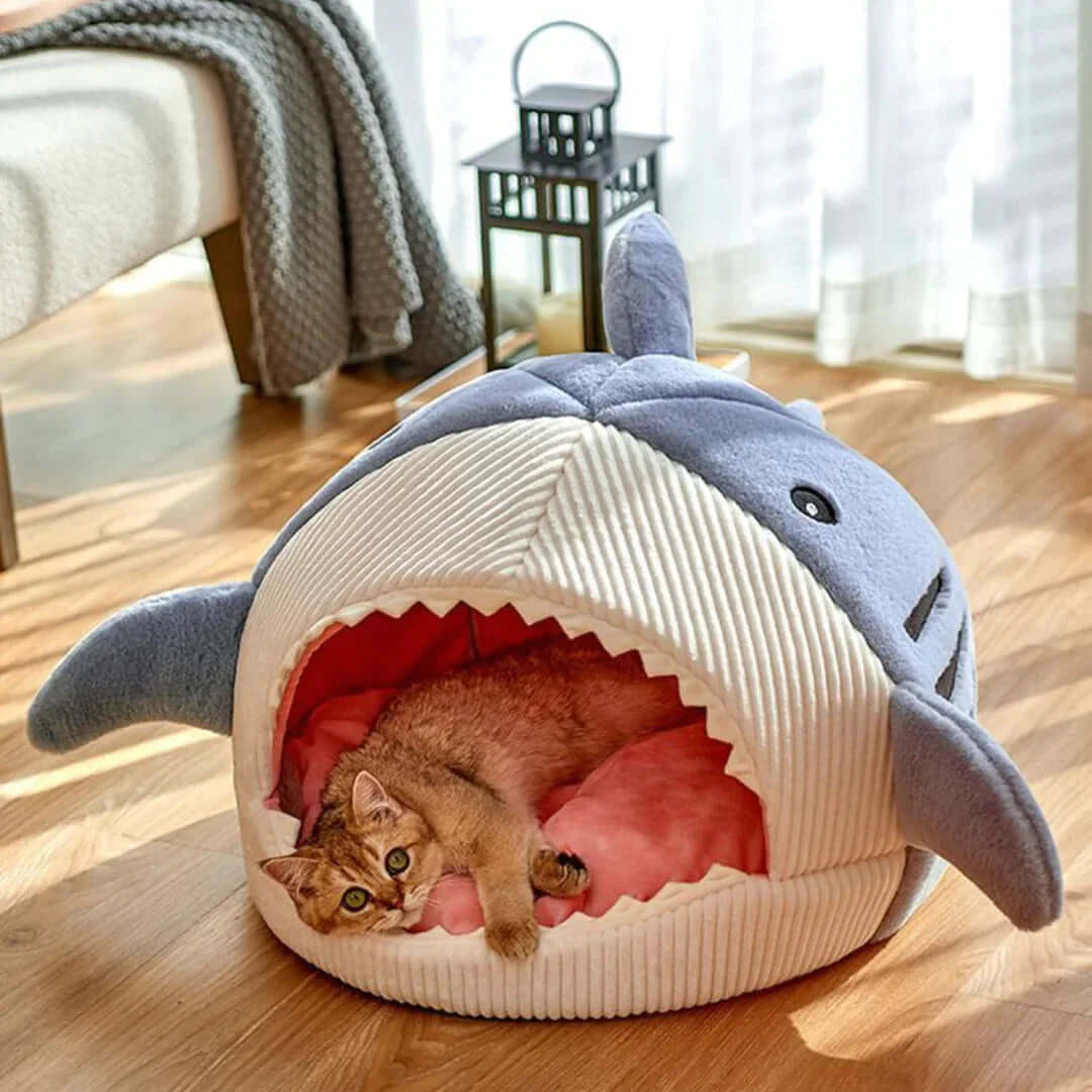 Luxury Plush Shark Pet Bed with a cat curled up inside for cozy comfort and playful design.