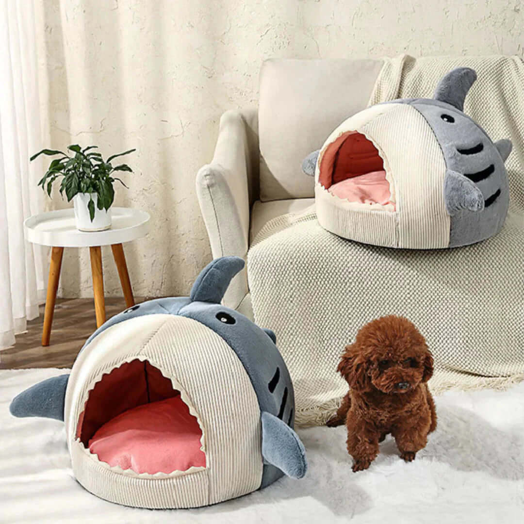 Luxury Plush Shark Pet Bed displayed with a cute dog beside it, showcasing a cozy design for pets.