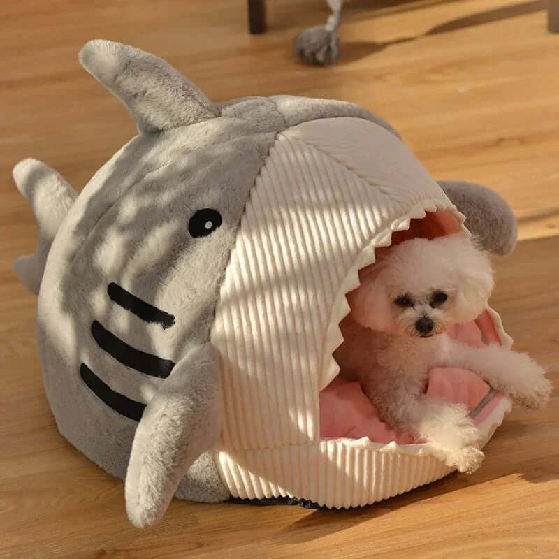 Luxury Plush Shark Pet Bed with a fluffy dog peeking out from its cozy shark design