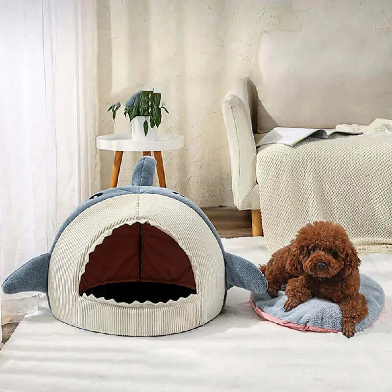 Luxury Plush Shark Pet Bed with a cozy shark design and a dog resting beside it on a soft mat.