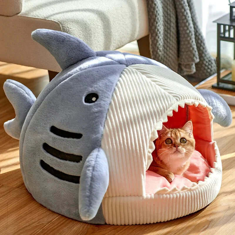 A cat comfortably resting inside a Luxury Plush Shark Pet Bed, showcasing its cute shark design and cozy interior.
